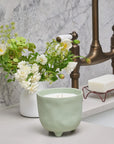 Botanical Forest candle Myrtle and Moss