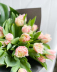 Florist's favourite: Premium Tulips