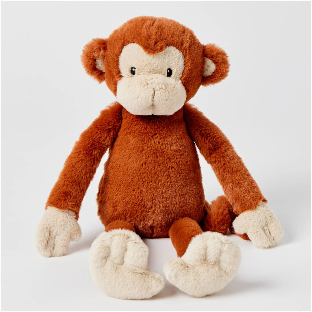 Gigi the monkey