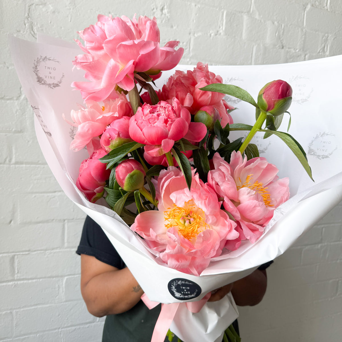 Coral Peony bundle