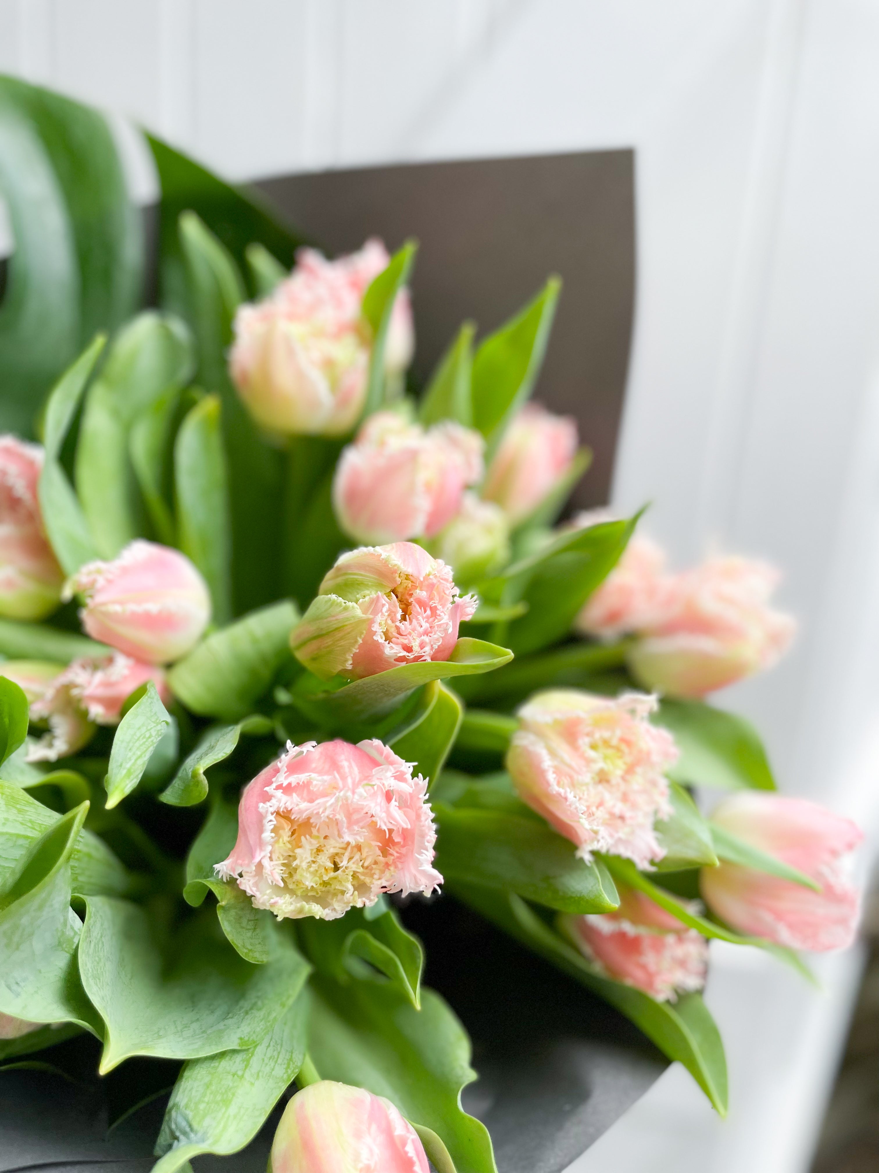 Florist&#39;s favourite: Premium Tulips