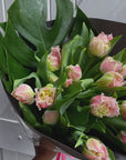 Florist's favourite: Premium Tulips